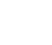 VDS Logo weiß